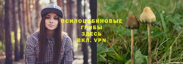 дурь Володарск